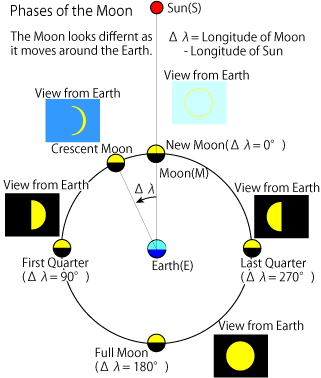 Phases of the Moon